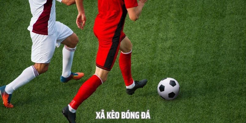 Xả kèo là gì? Chi tiết về chiến thuật của nhà cái cho người chơi